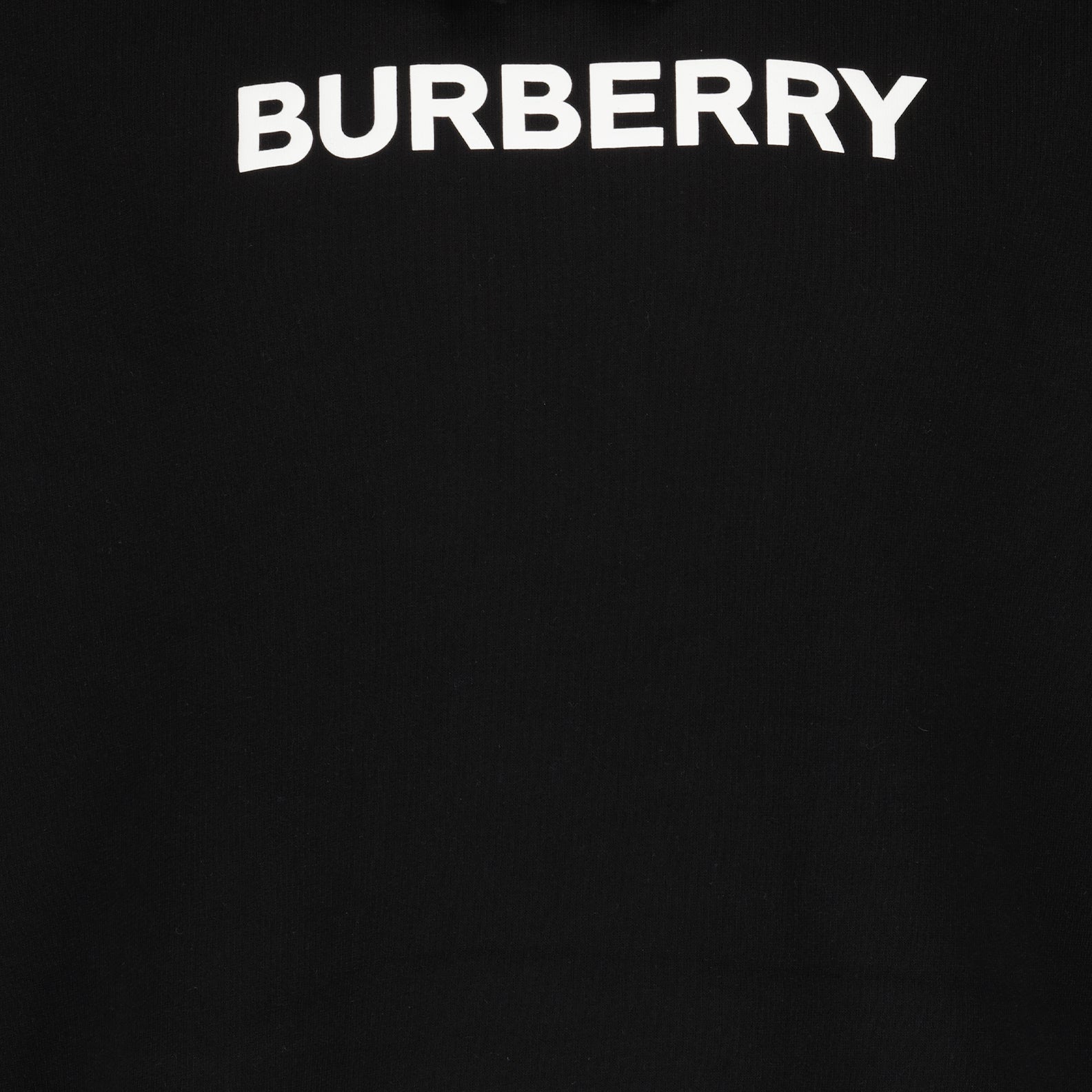 Burberry, Logo Hoodie, Men's Luxury Hoodie, Designer Hoodie, Burberry Clothing