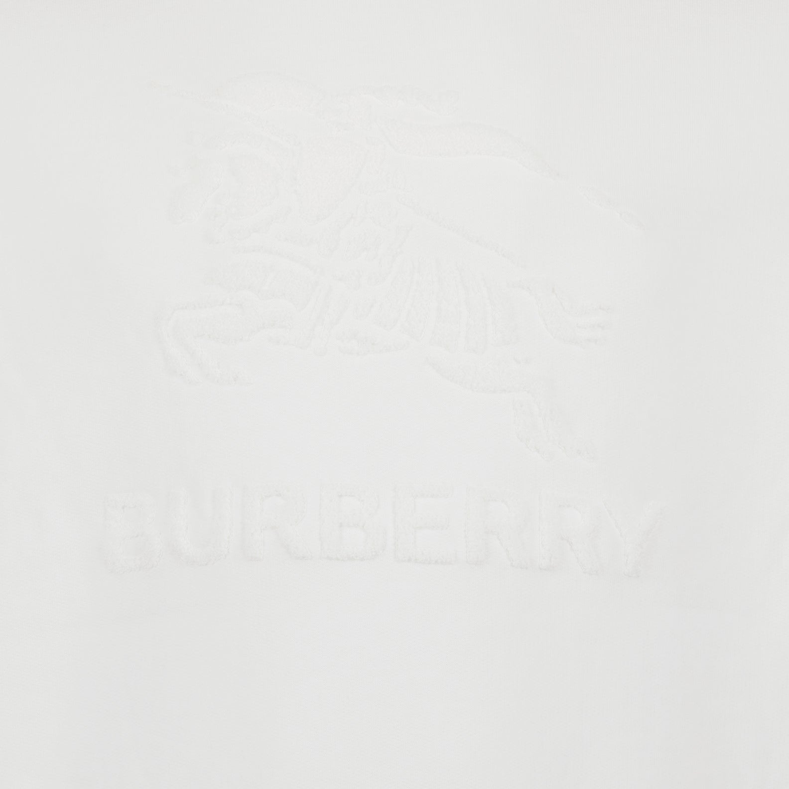 Burberry sweatshirt, men's luxury clothing, tonal logo sweatshirt, high-end fashion, designer menswear