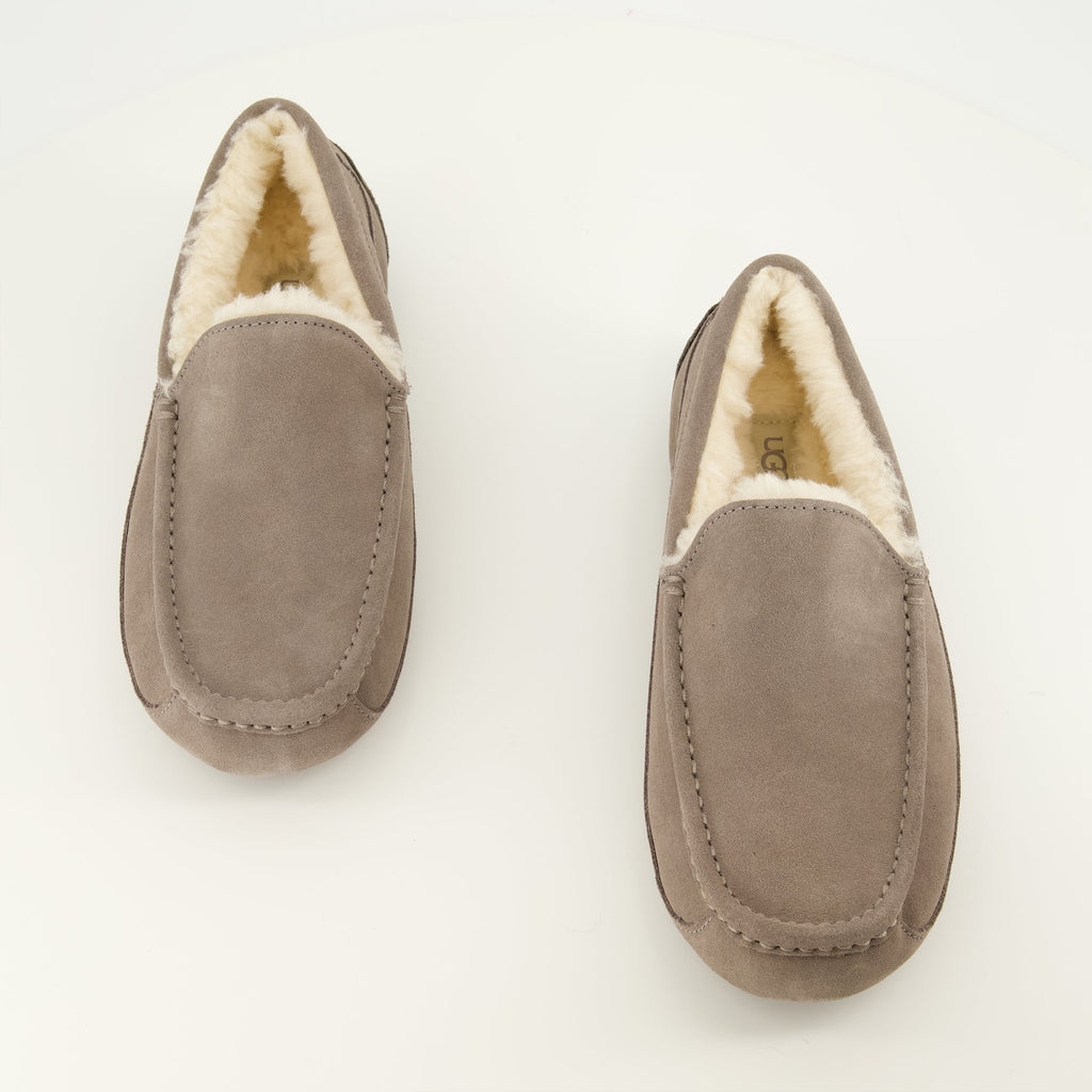 Ascot Slipper