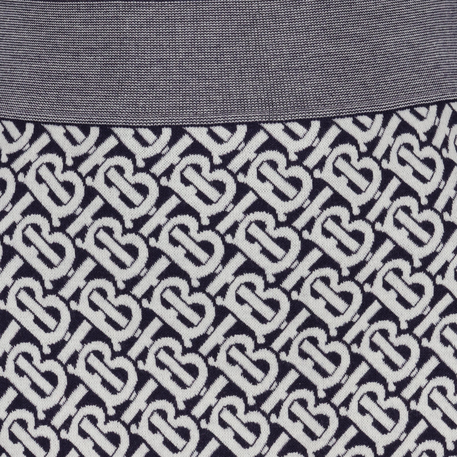 Burberry skirt, TB monogram skirt, luxury women's fashion, designer skirt, pleated skirt