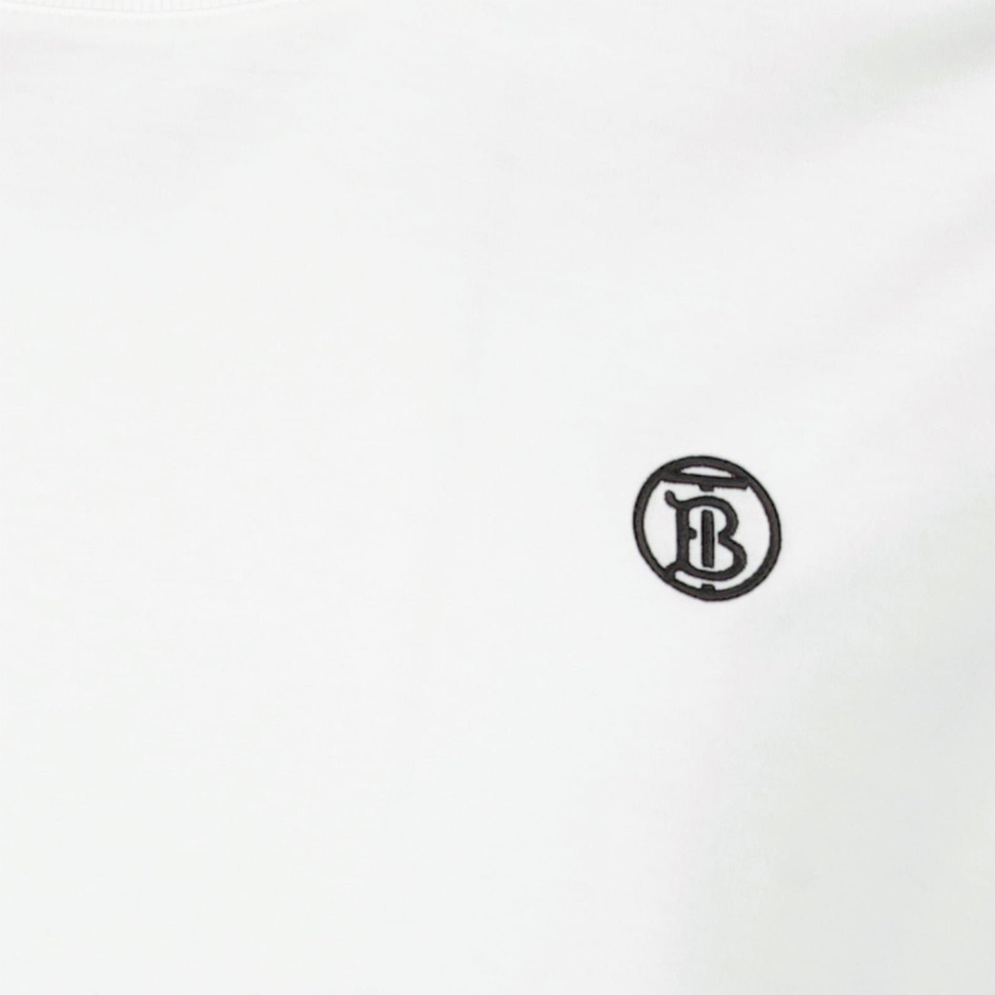 Parker Blanc T-shirt, Burberry T-shirt, luxury casual wear, white designer T-shirt, high-end fashion