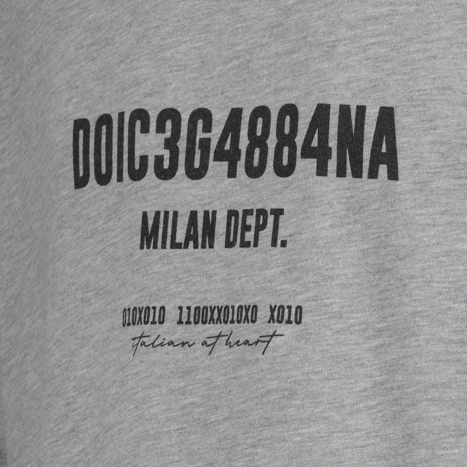 Dolce & Gabbana, grey T-shirt, logo T-shirt, luxury T-shirt, designer casual wear