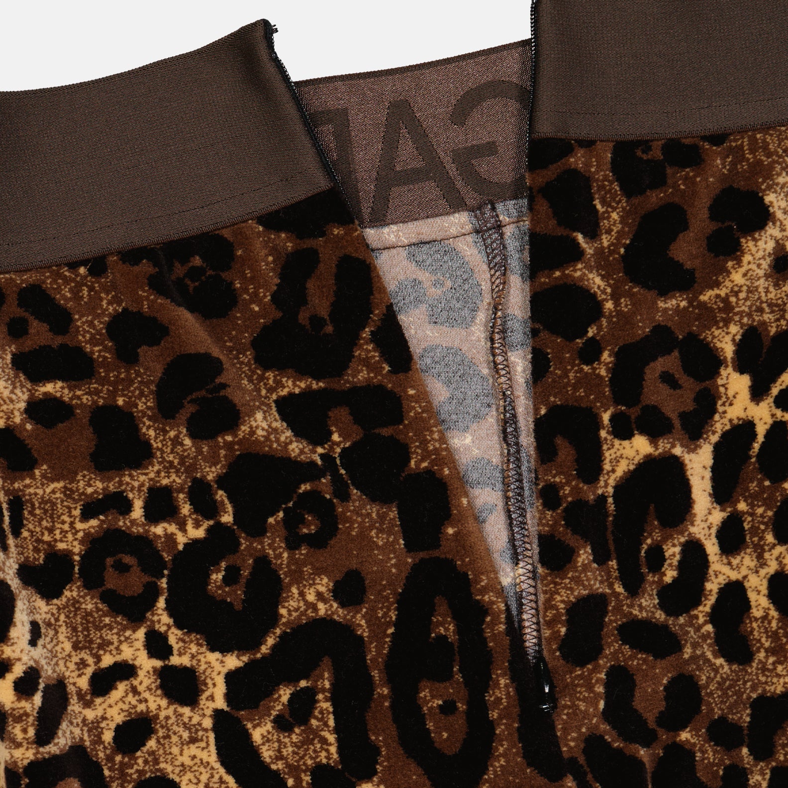 Dolce & Gabbana, leopard print leggings, luxury fashion, high-end leggings, stylish leggings