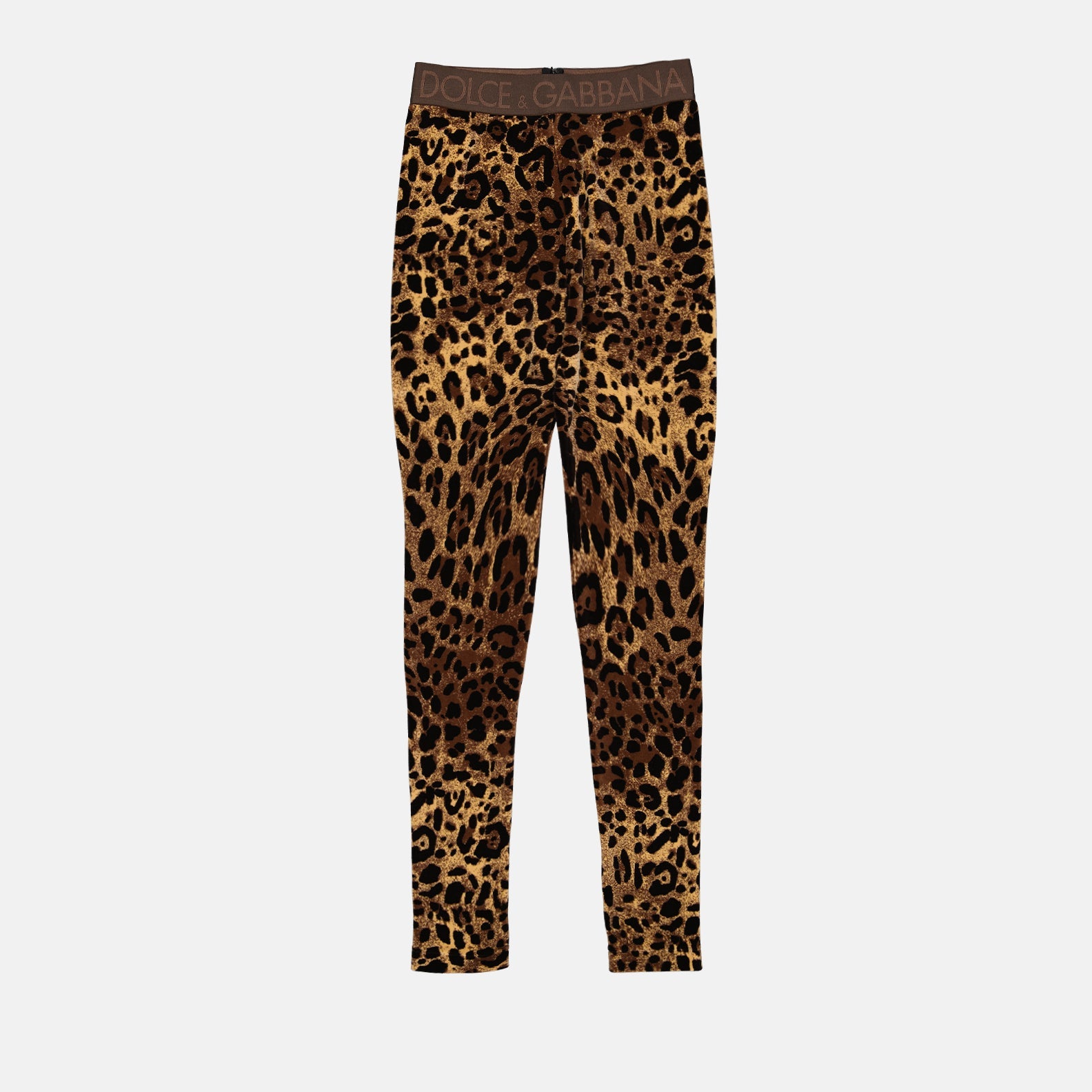 Dolce & Gabbana, leopard print leggings, luxury fashion, high-end leggings, stylish leggings