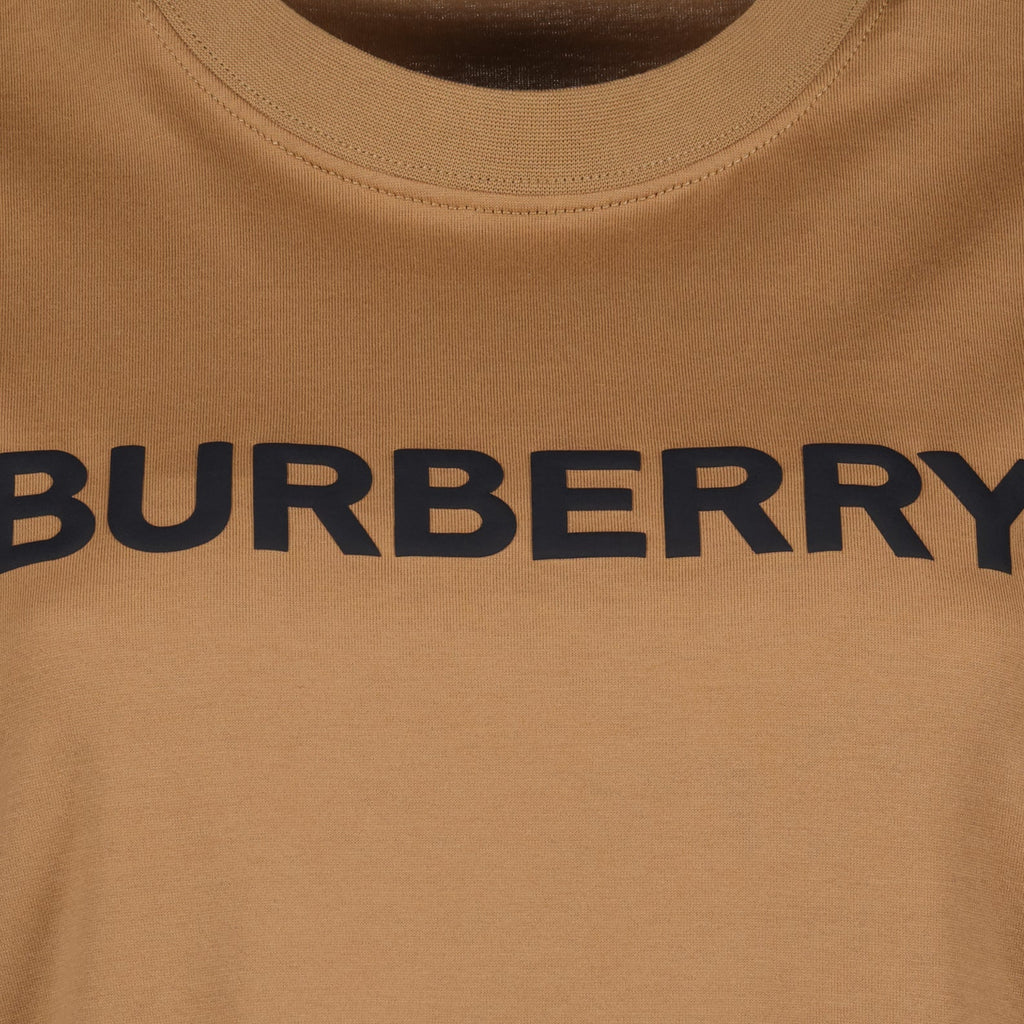 Burberry, brown logo t-shirt, luxury casual wear, high-end fashion, designer t-shirt