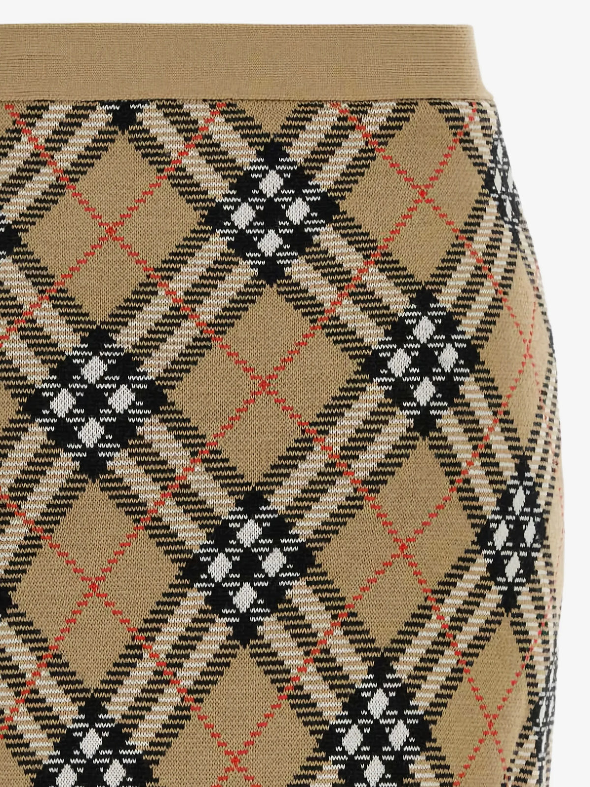 Image of Check Wool Mini Skirt by Burberry for Women - Season Autumn-Winter 2025 - Model View 2