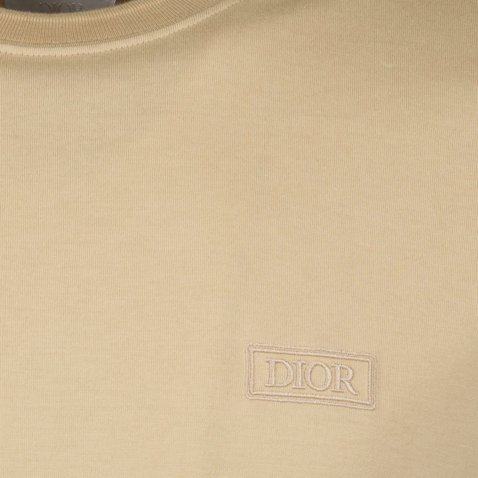 Dior, Beige T-shirt, Luxury Menswear, Autumn-Winter 2024, High-end Fashion