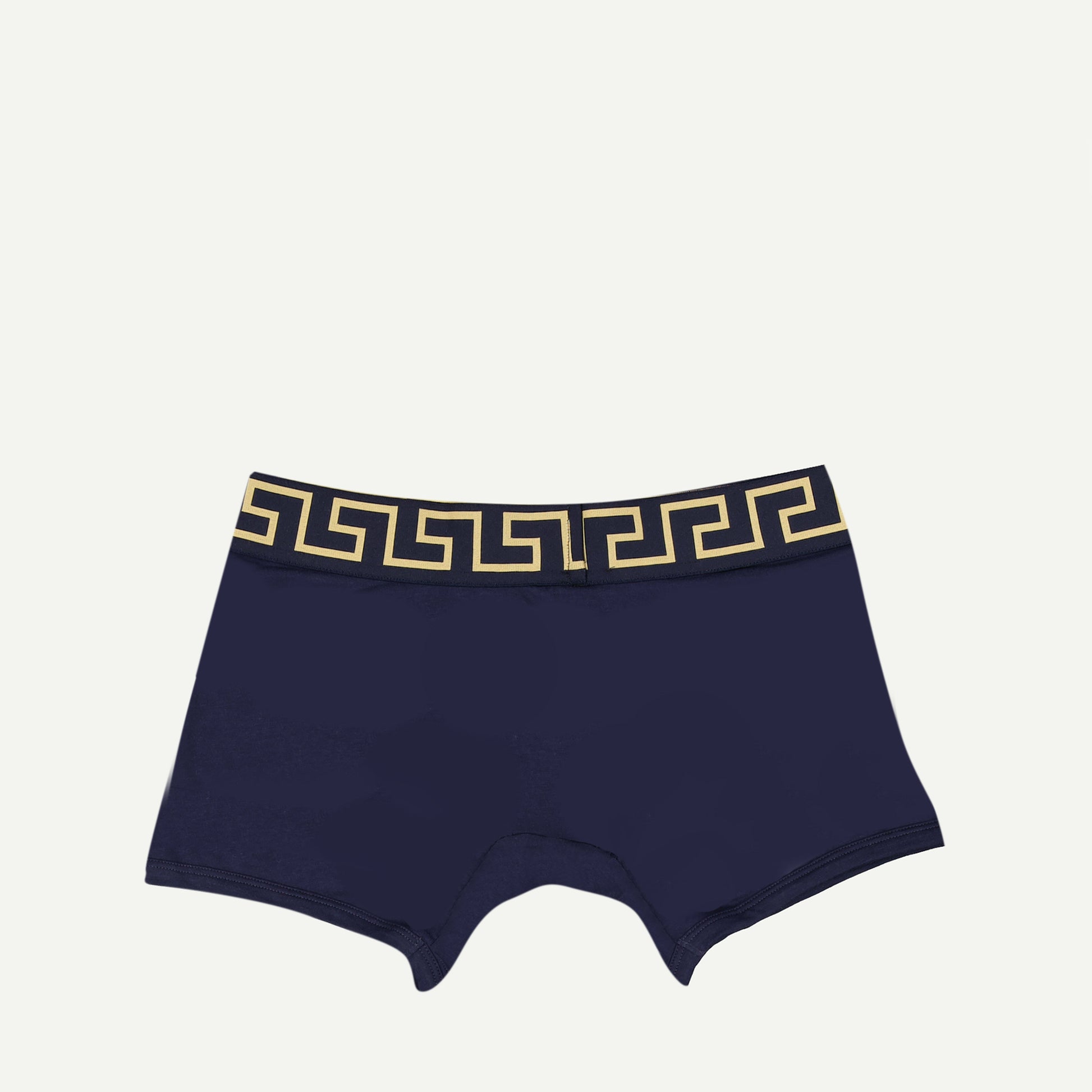 Versace boxer briefs, Medusa Greca, long boxer briefs, blue boxer briefs, men's underwear