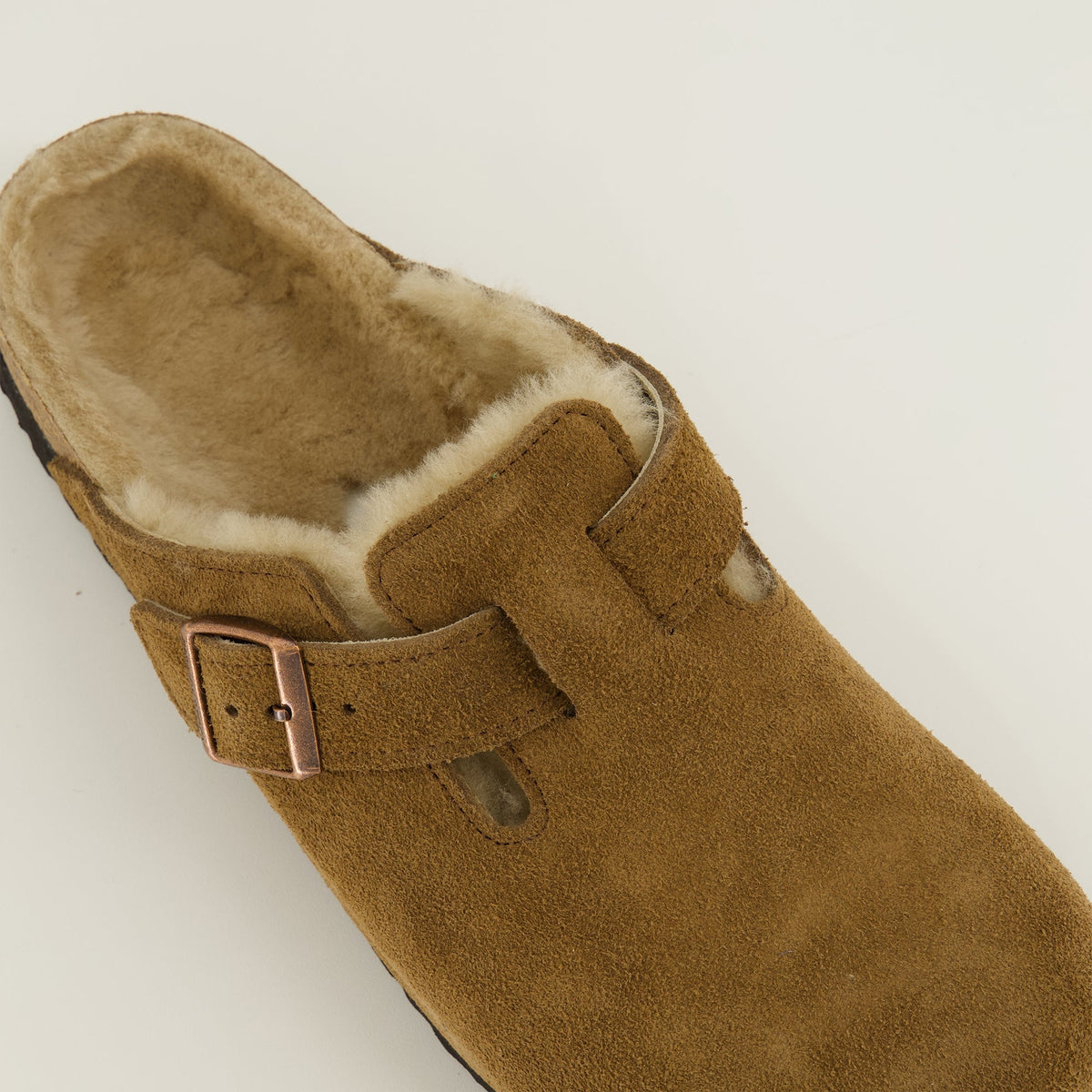 Boston Mule with Brown Fur