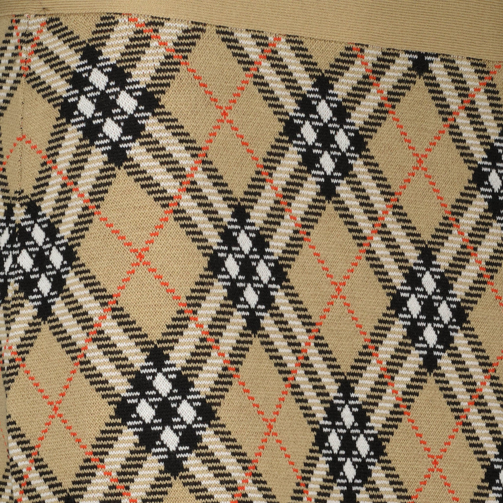 Burberry skirt, check pattern skirt, wool mini skirt, Burberry women's fashion, autumn winter fashion