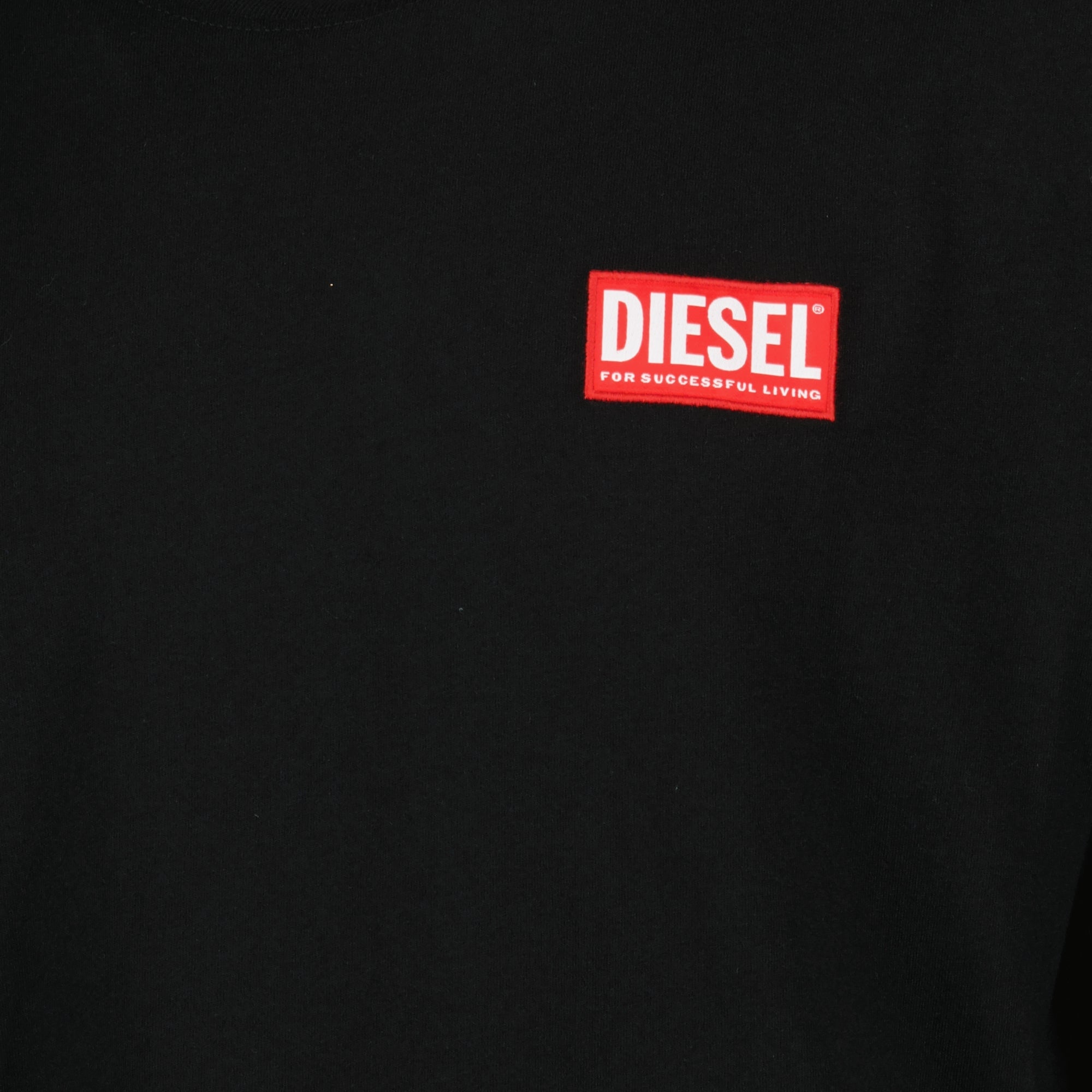 Diesel T-shirt, oversized black T-shirt, cotton jersey shirt, casual wear, round neck T-shirt