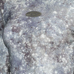 T-Akara top, galaxy print top, Diesel spring collection, slim fit top, high neck top
