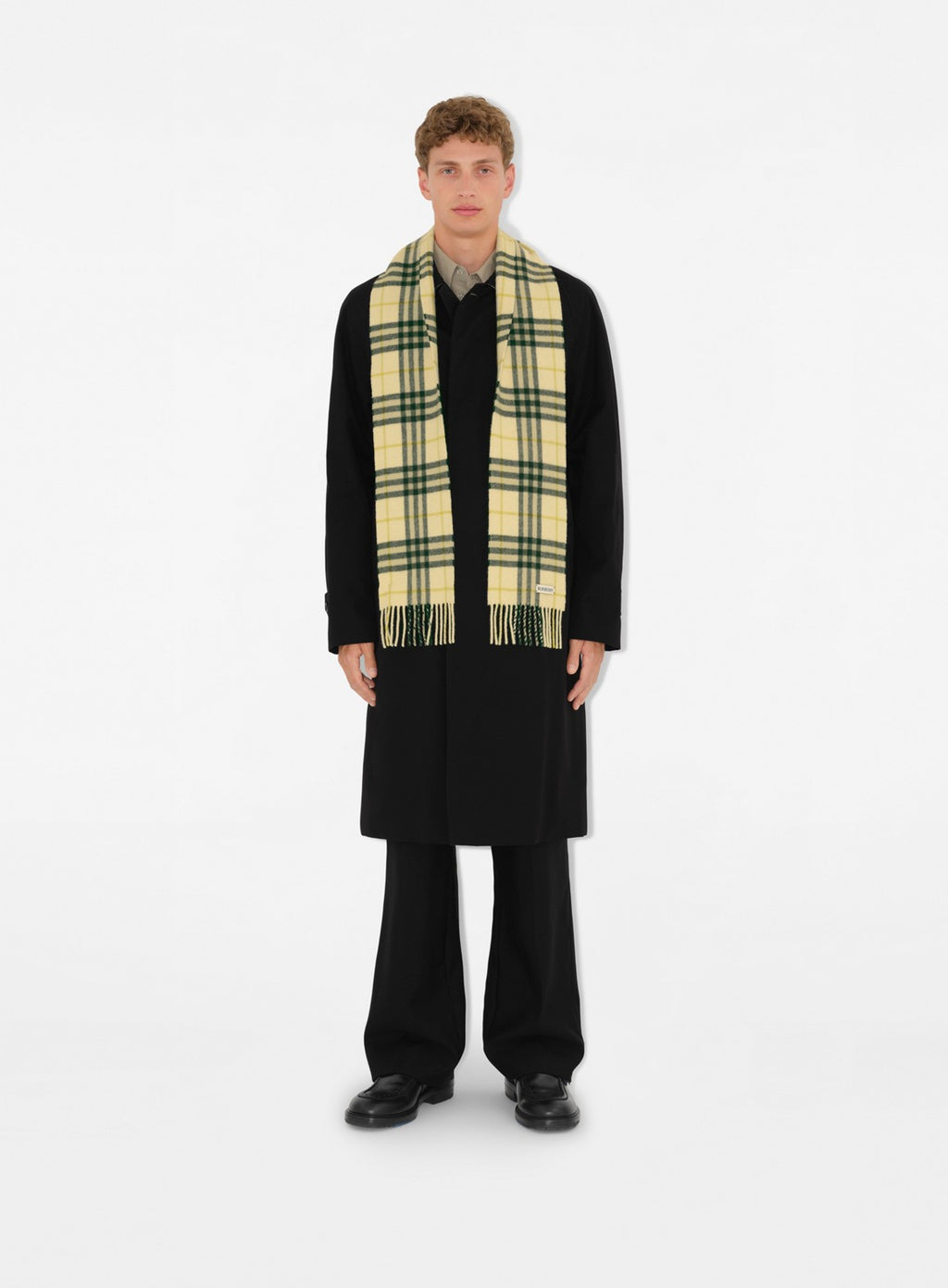 plaid scarf, cashmere, Check Collection, fall winter 2024, vintage charm