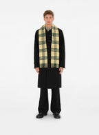 plaid scarf, cashmere, Check Collection, fall winter 2024, vintage charm