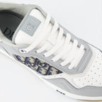 Dior, B27 sneakers, gray shoes, luxury sneakers, men's footwear