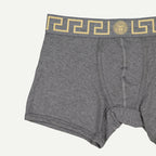 Versace Boxer Briefs, Medusa Pattern, Grey Boxer Briefs, Autumn-Winter 2024, Cotton Elastane Briefs