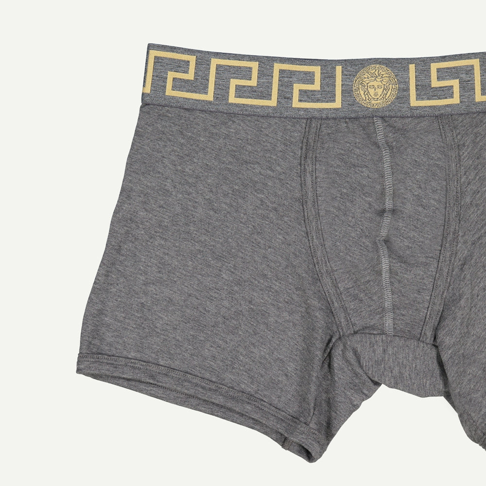 Versace Boxer Briefs, Medusa Pattern, Grey Boxer Briefs, Autumn-Winter 2024, Cotton Elastane Briefs