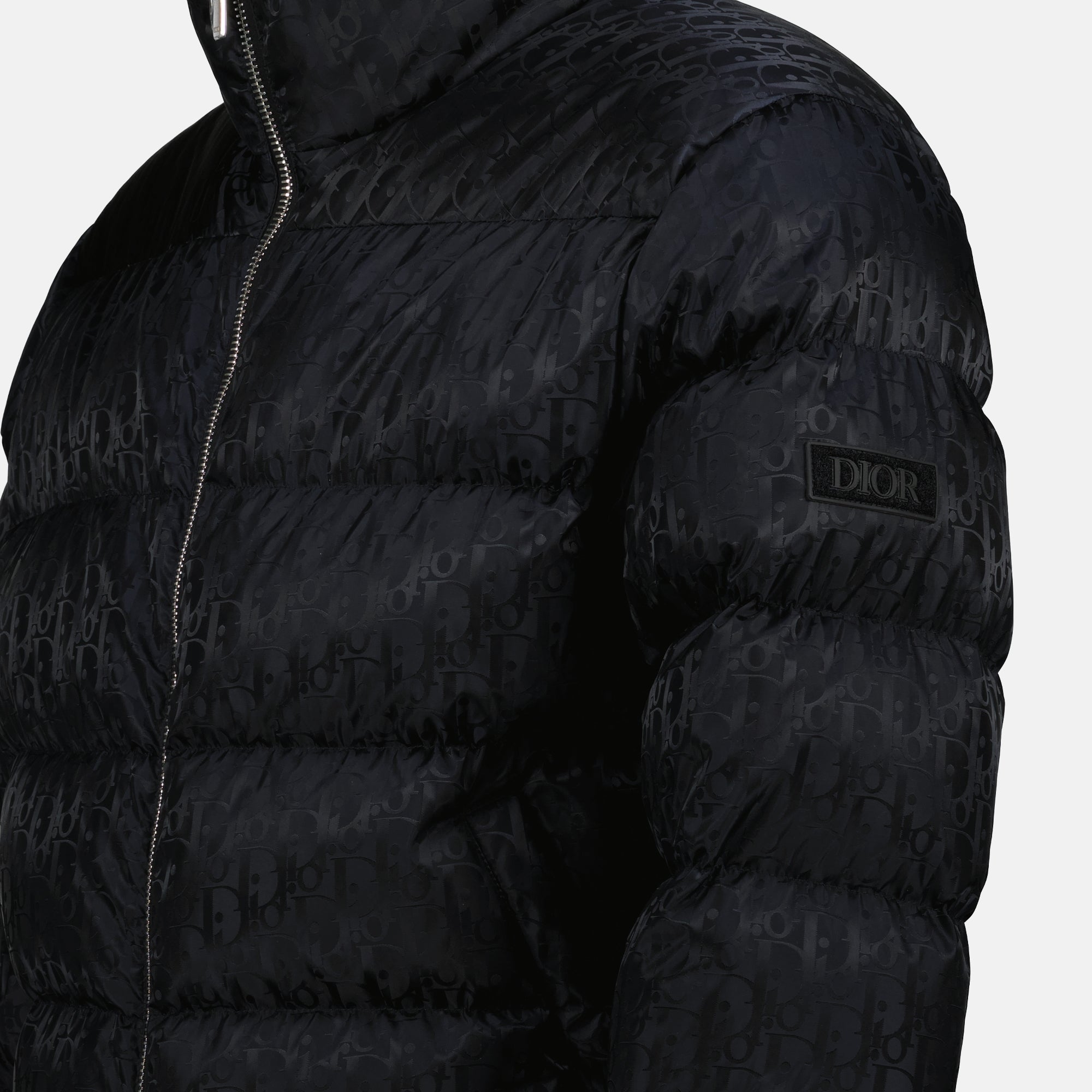 Dior Oblique Puffer Jacket, luxury winter jacket, black quilted jacket, high collar puffer, Autumn-Winter 2024 fashion