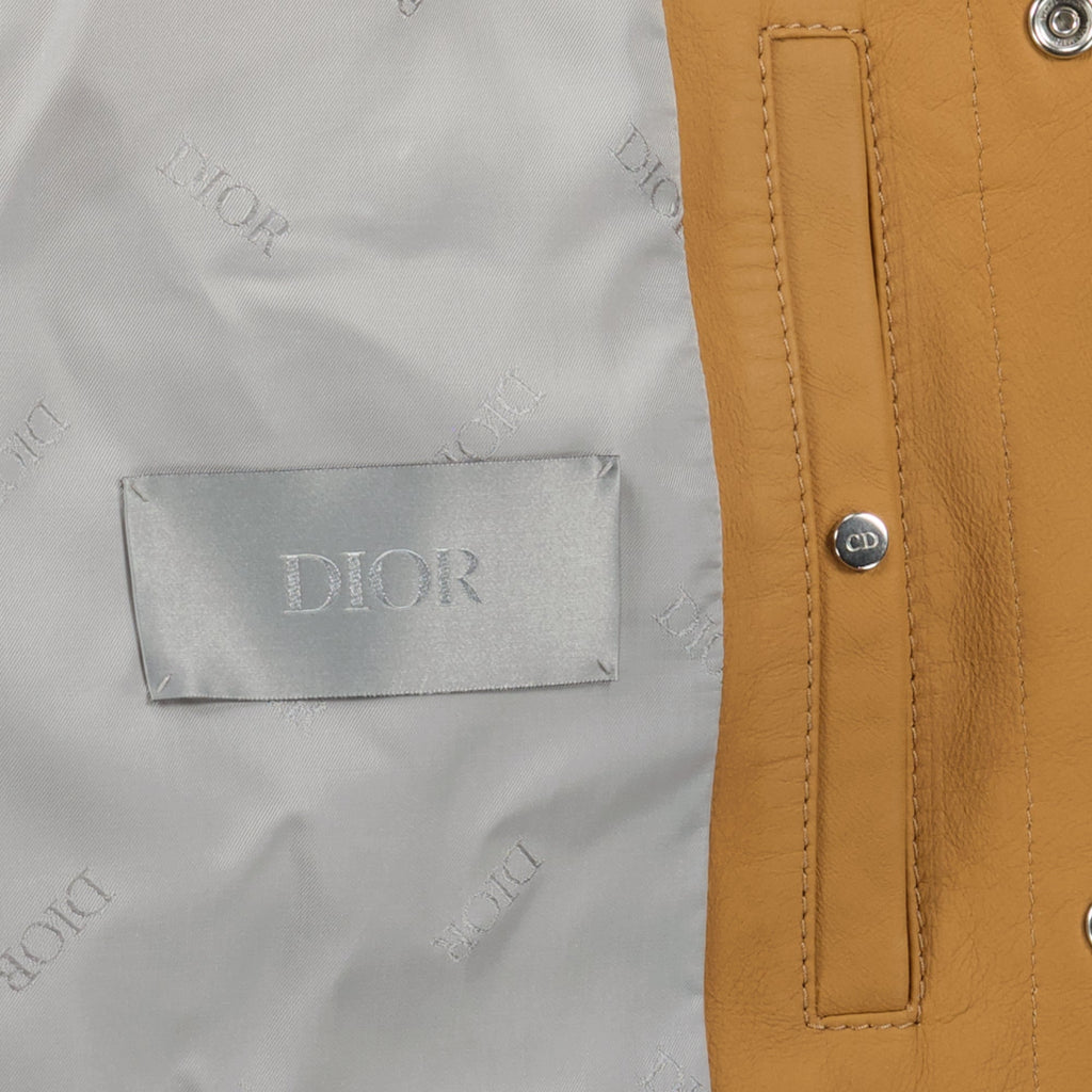 lambskin blouson, Dior leather jacket, Fall-Winter 2025 collection, men's outerwear, stylish jacket