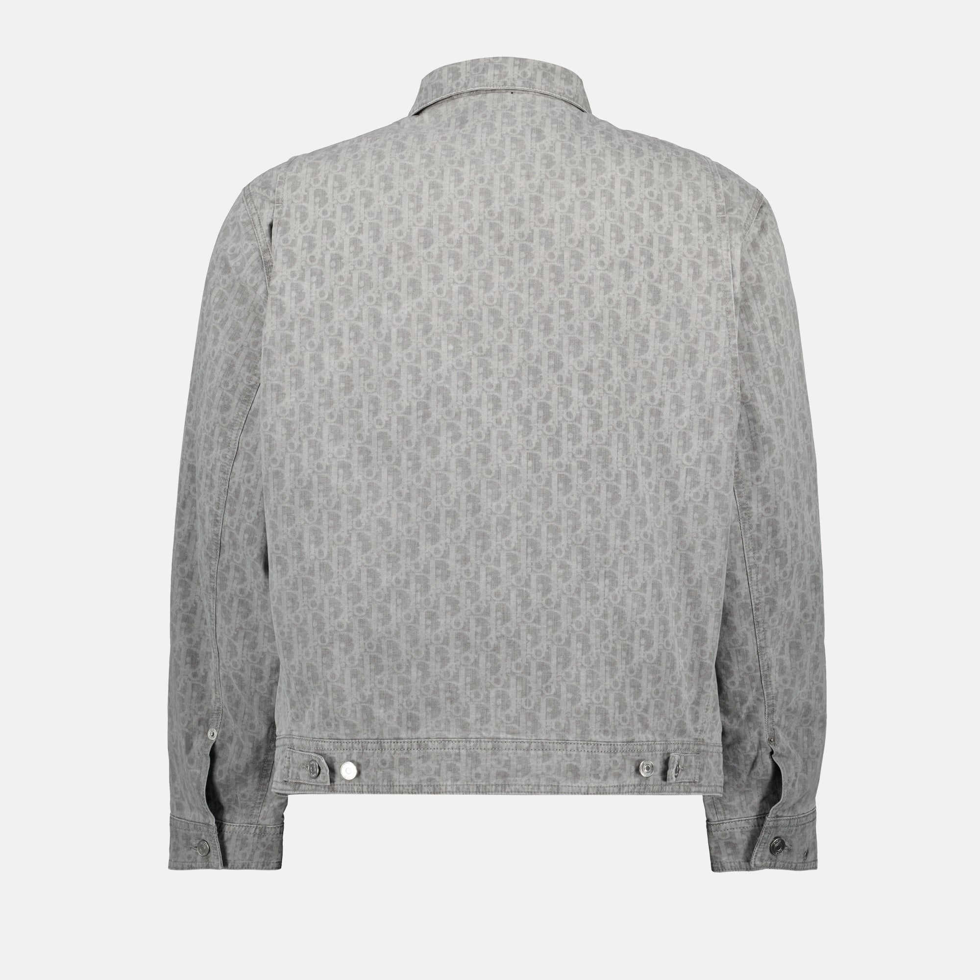 Image of Dior Oblique Zip Blouson by Dior for Men - Season Spring-Summer 2025 - Back View