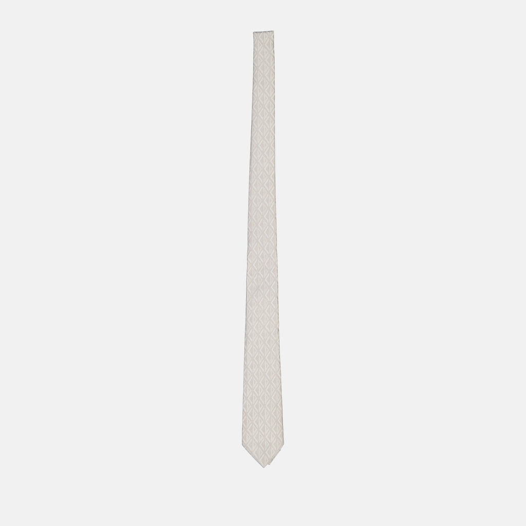 Dior tie, grey silk tie, luxury men’s accessories, diamond jacquard, Autumn-Winter 2024
