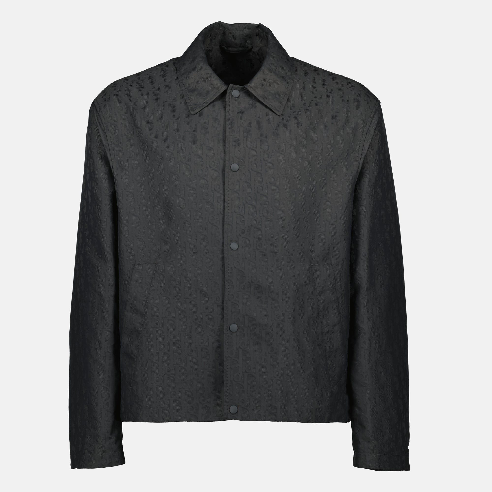 Dior jacket, grey jacket, Dior Oblique, men's outerwear, luxury fashion