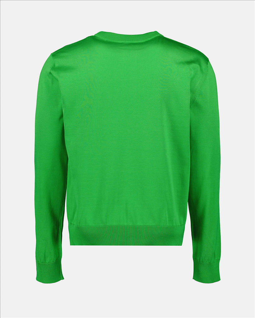 Dolce & Gabbana Men's Sweater, Green Printed Sweater, Luxury Men's Sweater, Silk Sweater, Rose Print Sweater