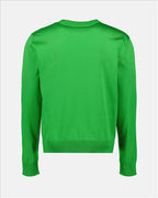 Dolce & Gabbana Men's Sweater, Green Printed Sweater, Luxury Men's Sweater, Silk Sweater, Rose Print Sweater