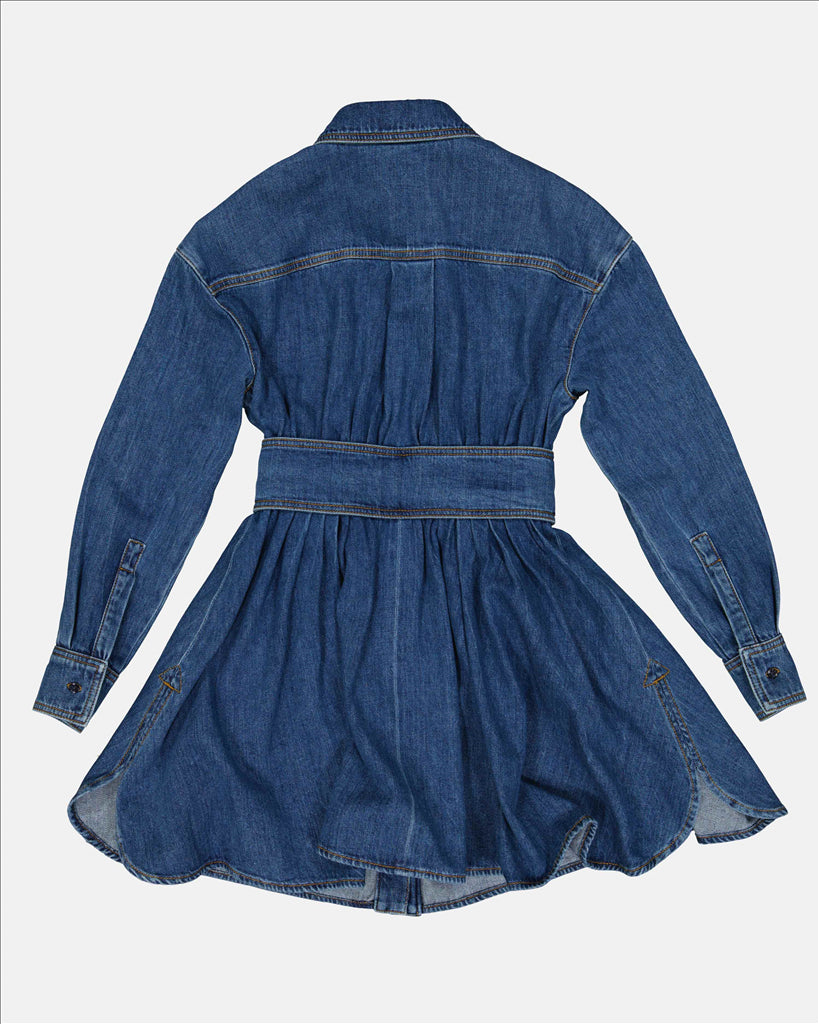 denim dress, fit and flare dress, elegant dress, concealed zip dress, blue dress