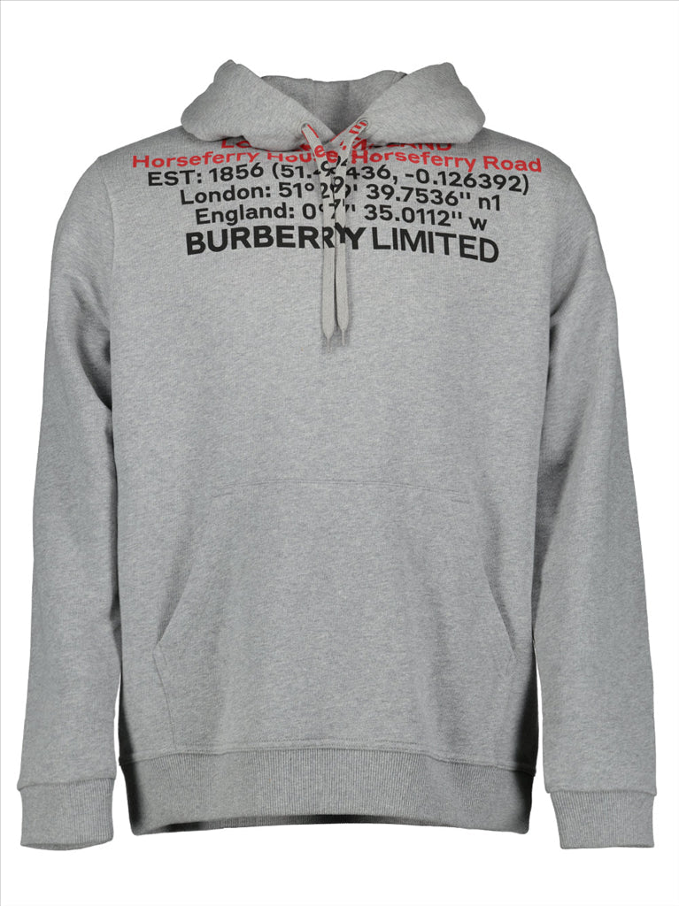 Burberry hoodie, Men's gray hoodie, Luxury streetwear, Burberry print, Designer menswear